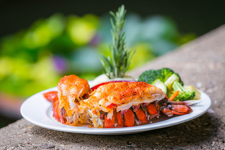 HKHweb_DD_bibas-lobster_722.jpg