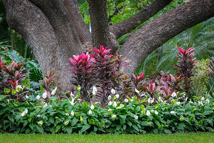 HKHweb_hotel_gardens_722.jpg