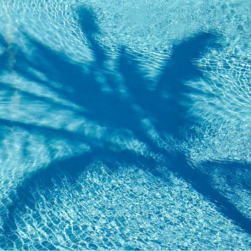 directory-pool-palm-500.jpg