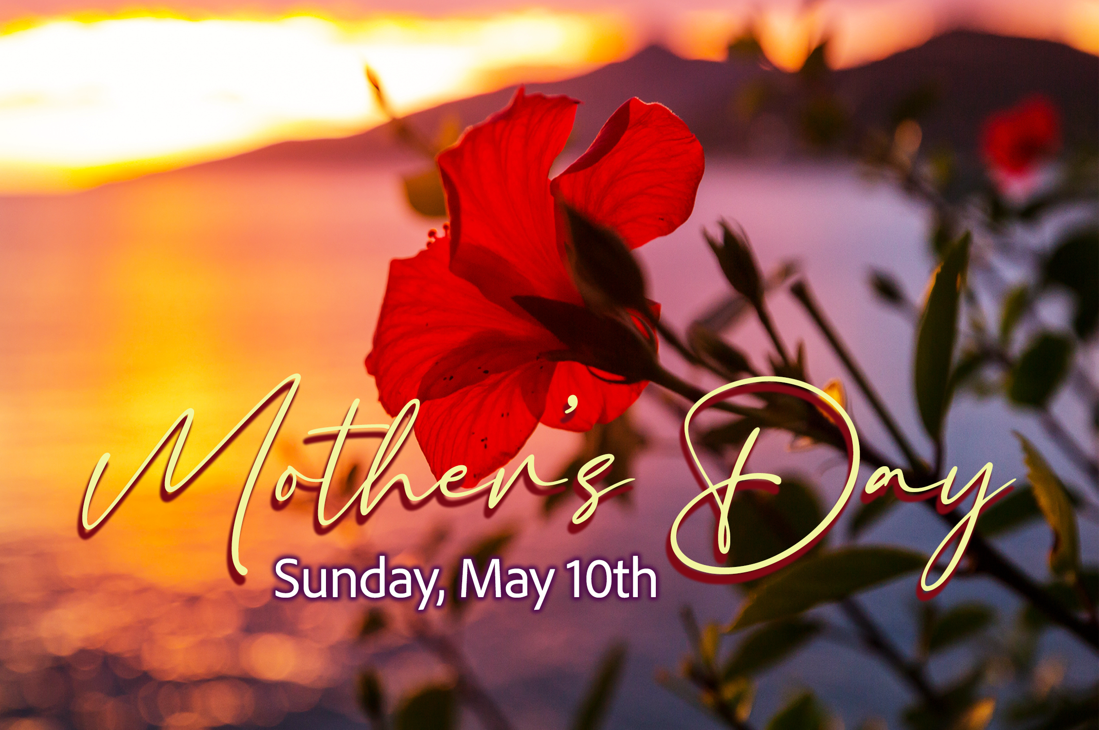 mom day image 2026.png