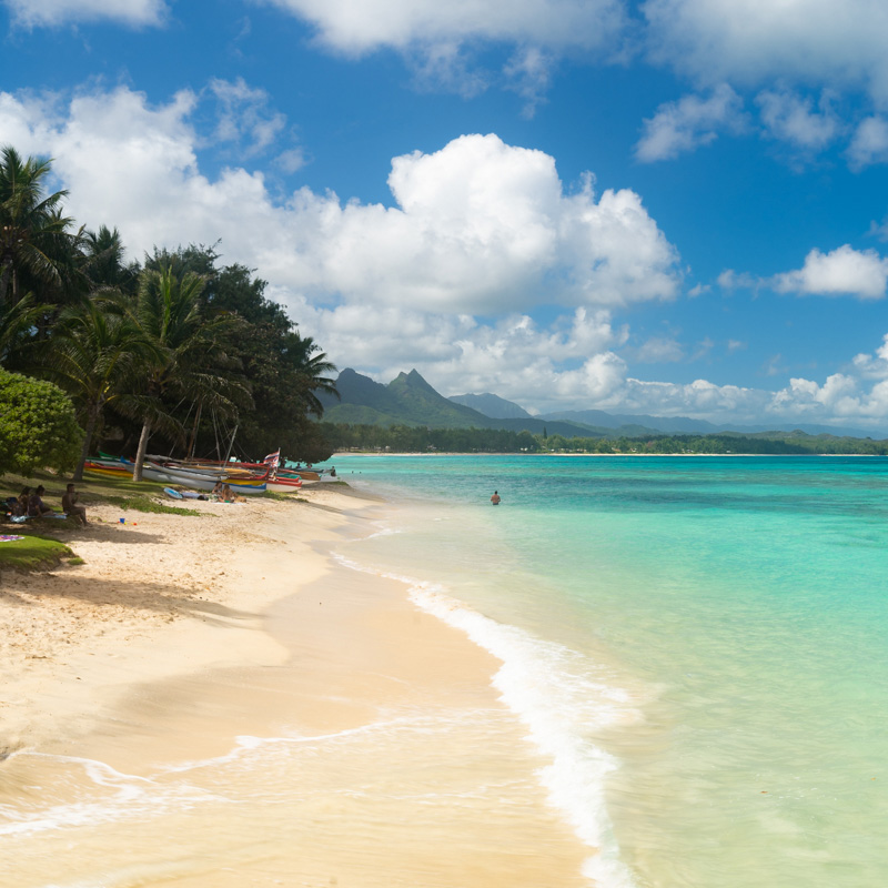 Hawaii Beach a serene tropical beach scene featuring a wide stretch of sandy shoreline meeting vibrant turquoise ocean waters